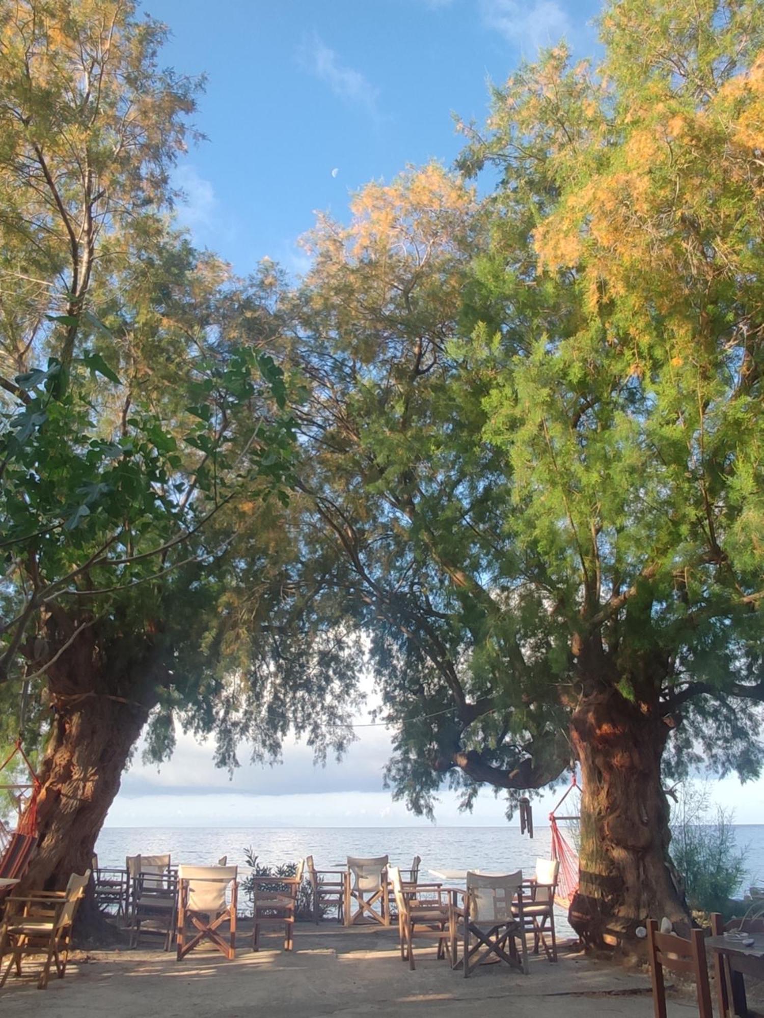 Georgoshouse Lykos Beach Sfakia Livaniana Exterior foto